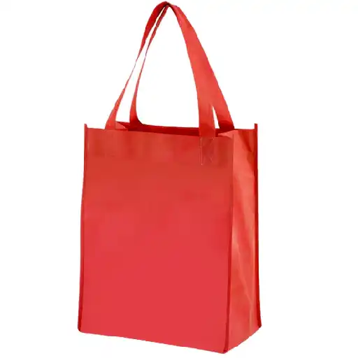 BOLSA LISA CON FUELLE